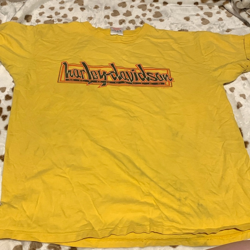Vintage Harley Davidson shirt